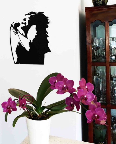 Janis Joplin 2 - Kosmic Blues