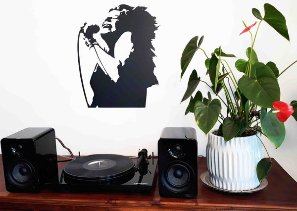 Janis Joplin 2 - Kosmic Blues